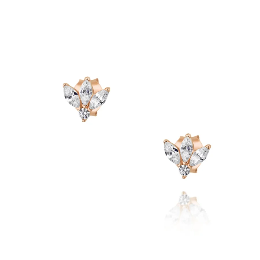 095ddb12 301c 463b 8c2f 486578c6f37c 095ddb12 301c 463b 8c2f 486578c6f37c