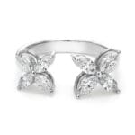 Stacked From 10 Images. Method=c (s=6) Stacked From 10 Images. Method=c (s=6)